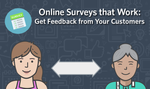 Online Surveys That Work.png