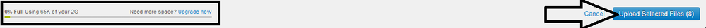 Upload Selected Files.png