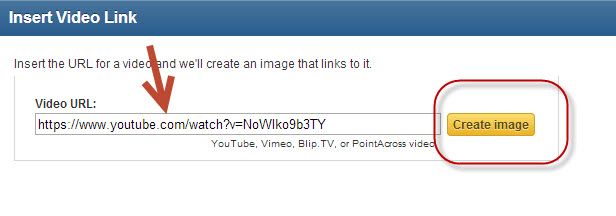 Insert Video URL.jpg