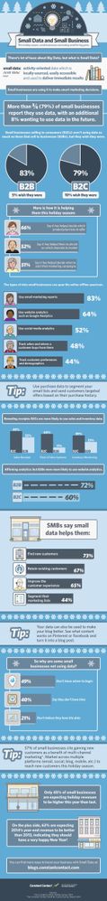 Infographic small business small data