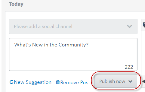 Social Share Publish Now.png