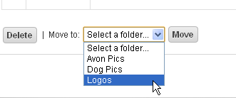 Move Images to Folder.png