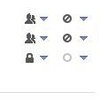 visibility icons.JPG