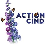 ActionCIND