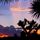 Joshua_Tree_National_Park_Association