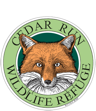 woodford-logo-retina.png