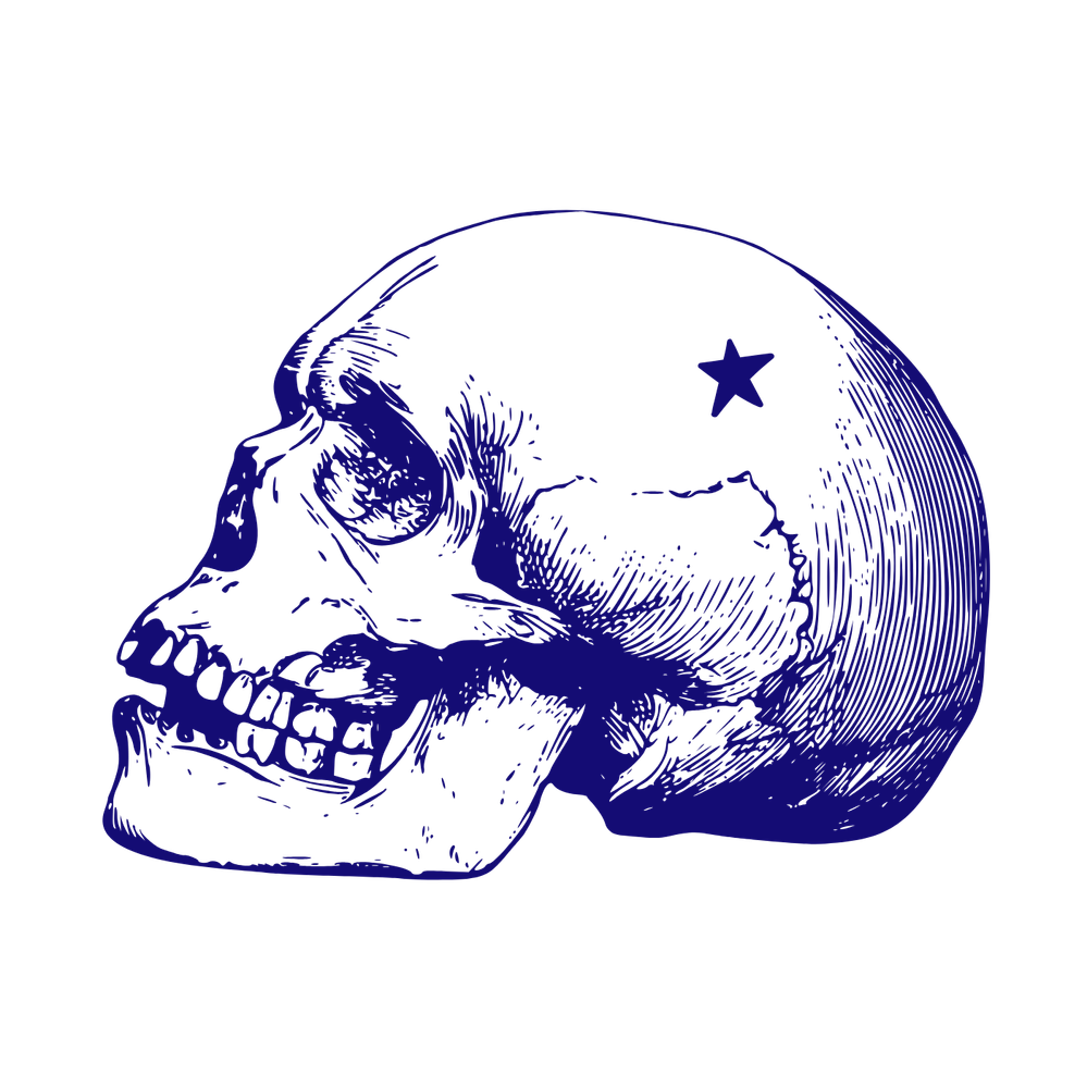 N Sky Skull (1).png