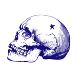 N Sky Skull (1).png