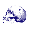 N Sky Skull (1).png