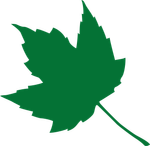 mlw_leaf_green_large.png