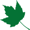 mlw_leaf_green_large.png