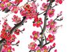 CHERRY-BLOSSOMS-RED.jpg