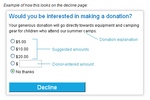 Donation_Example.png