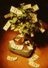 Money Growing on Tree.jpg