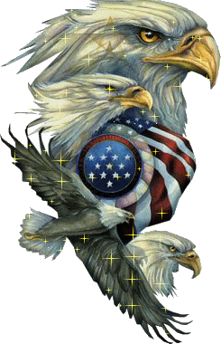 american eagle animated gif